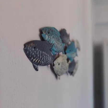 Papillon * Πέρα Γυαλός